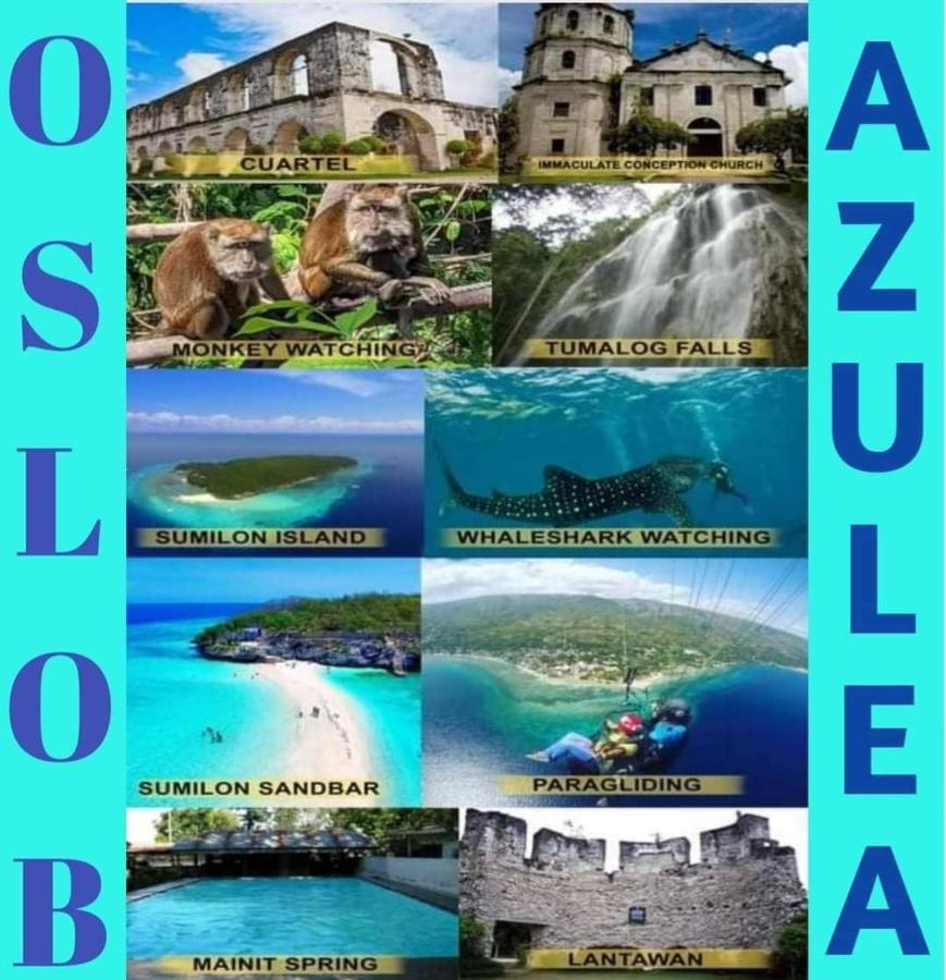 Azulea Lodging House אוסלוב מראה חיצוני תמונה